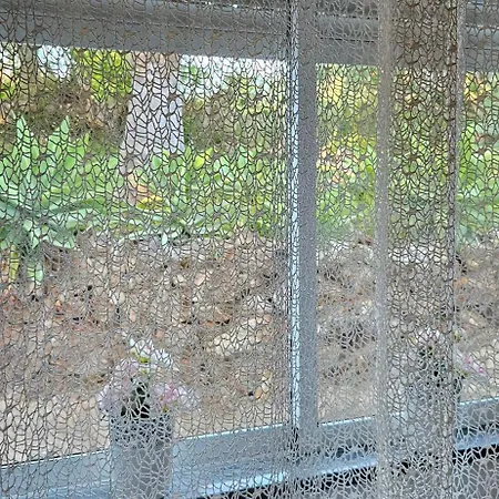 Quinta Teresinha *