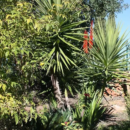 Quinta Teresinha Hétvégi ház *